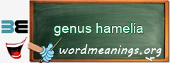 WordMeaning blackboard for genus hamelia